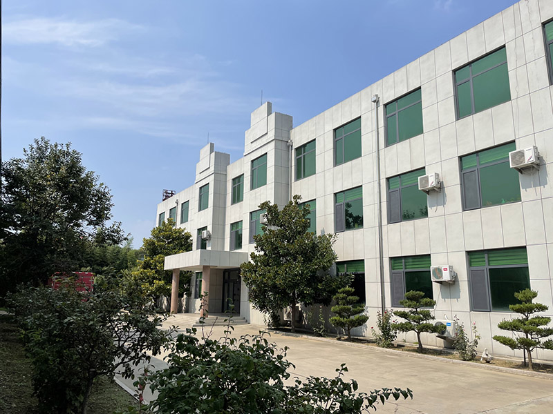 公司实力