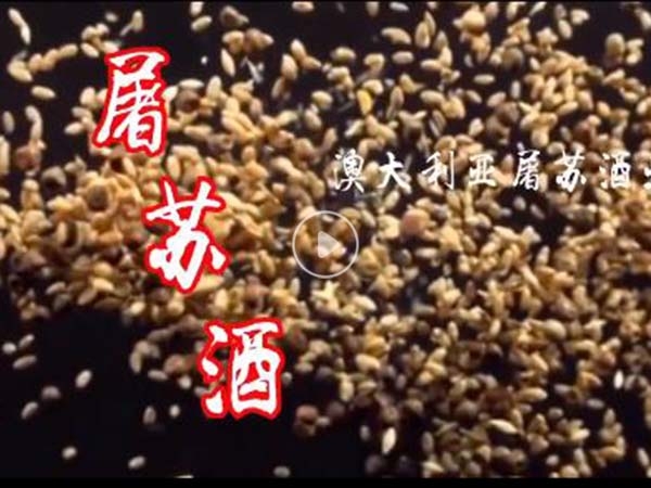 qq截图20240312144343